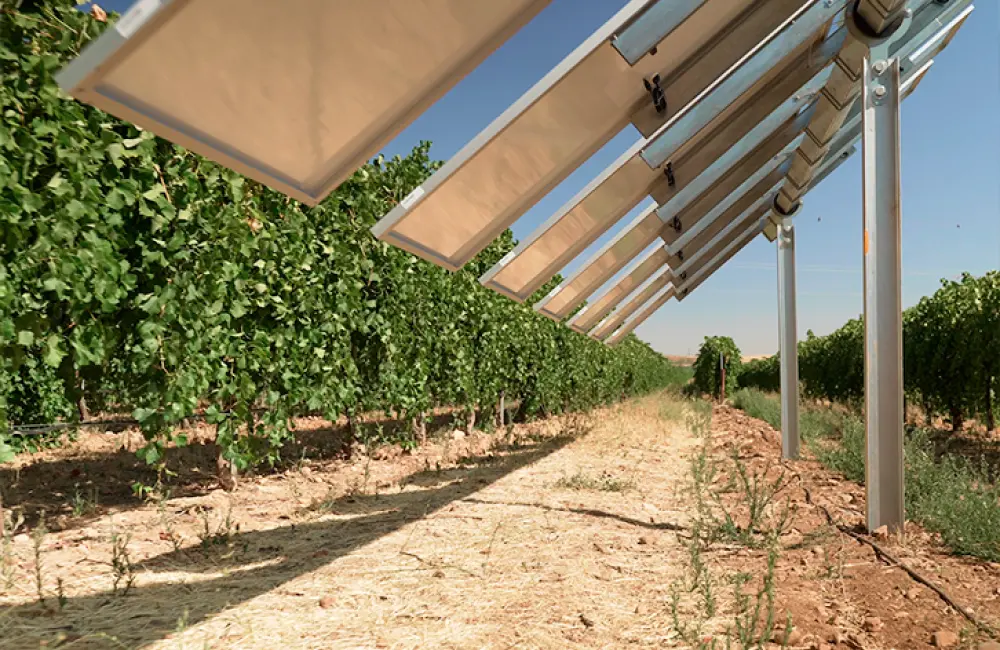 Imagem L’arboriculture et la viticulture