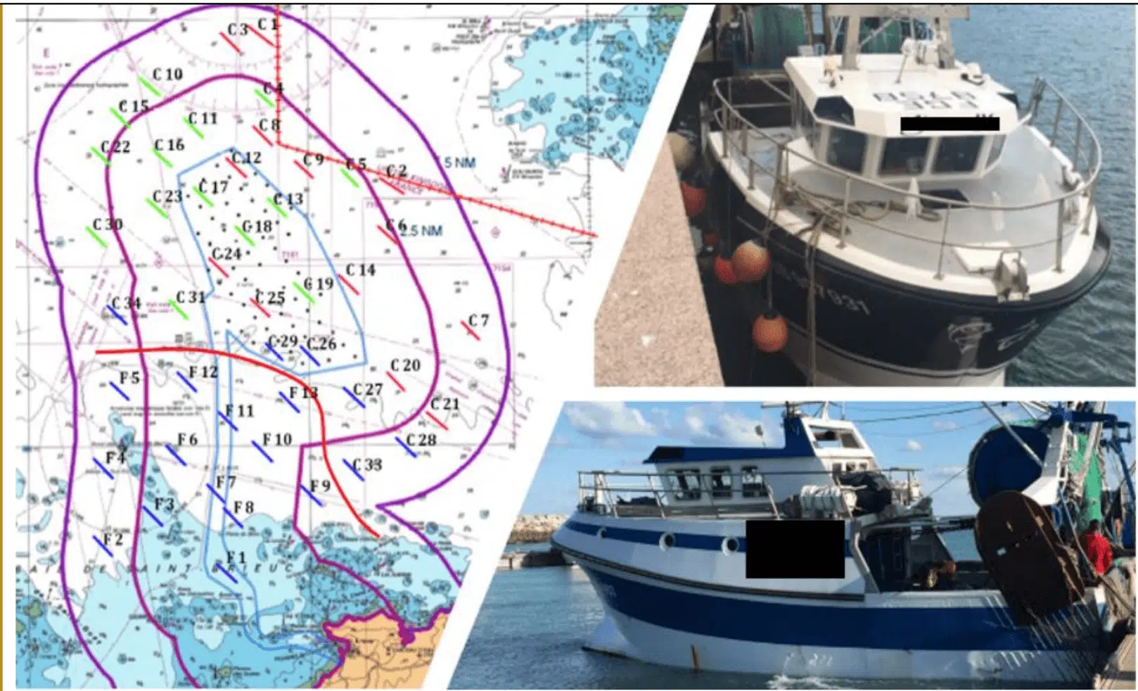Suivi des chiroptères en phase d’exploitation